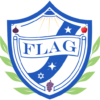 Flag Logo