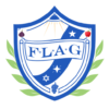 FLAG LOGO